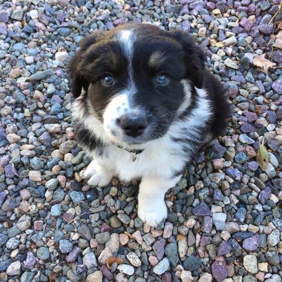 Sales from Kansas - Picture 6 of 8